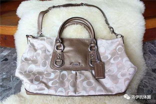 十大奢侈品包包排名及圖標志